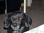 2004-04-24 (2).JPG
