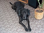 2004-04-25.JPG