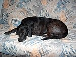 2004-04-26.JPG