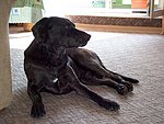 2004-05-11 (1).JPG