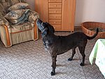 2004-05-11 (2).JPG