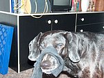 2004-05-13.JPG