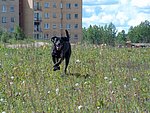 2004-05-16 (1).JPG