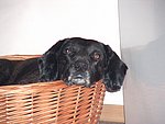2004-05-23 (1).JPG