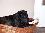 2004-05-23 (2).JPG