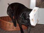 2004-05-23 (3).JPG