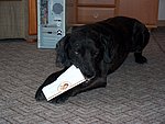 2004-05-23 (4).JPG