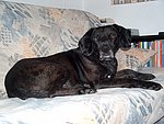2004-07-05.JPG