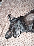 2004-07-11 (1).JPG
