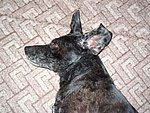 2004-07-11 (2).JPG