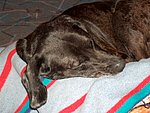 2004-08-22 (1).JPG