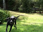 2004-08-22 (2).JPG
