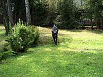 2004-08-22 (4).JPG
