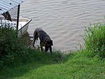 2004-08-24 (1).JPG