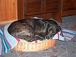 2004-08-24 (2).JPG
