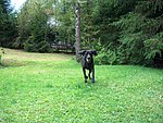 2004-08-25 (1).JPG