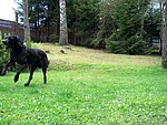 2004-08-25 (2).JPG