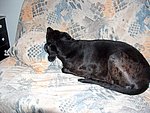 2004-10-16 (1).JPG