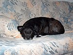 2004-10-16 (2).JPG