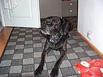 2004-10-23 (1).JPG