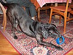 2004-10-23 (2).JPG