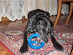 2004-10-23 (3).JPG
