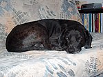 2004-10-28 (1).JPG
