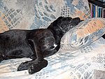 2004-10-28 (2).JPG