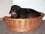 2004-11-16 (1).JPG