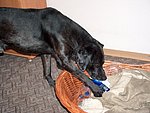 2004-11-16 (2).JPG