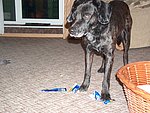 2004-11-16 (3).JPG