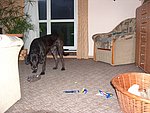 2004-11-16 (4).JPG