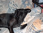 2004-11-16 (6).JPG