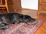 2004-11-22 (1).JPG