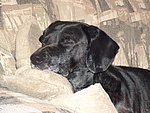 2004-12-05.JPG