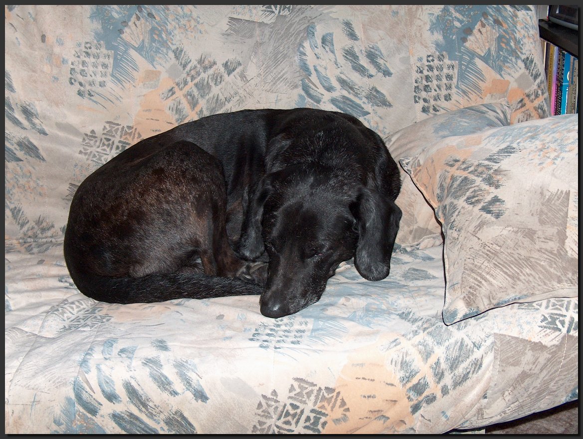 2005-10-02 (2).JPG