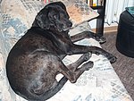 2005-01-19 (1).JPG