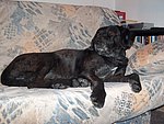 2005-01-19 (2).JPG