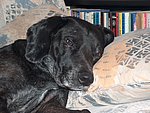 2005-01-19 (3).JPG