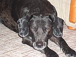2005-02-03.JPG