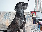 2005-03-06.JPG