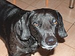 2005-03-18.JPG