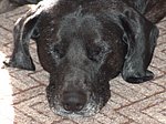 2005-03-19.JPG