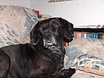 2005-03-20.JPG