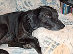 2005-08-02 (1).JPG