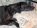 2005-08-02 (3).JPG