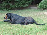 2005-09-25 (2).JPG