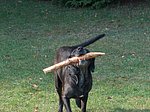 2005-09-25 (3).JPG