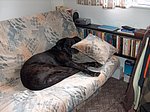 2005-10-02 (1).JPG