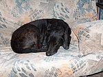 2005-10-02 (2).JPG